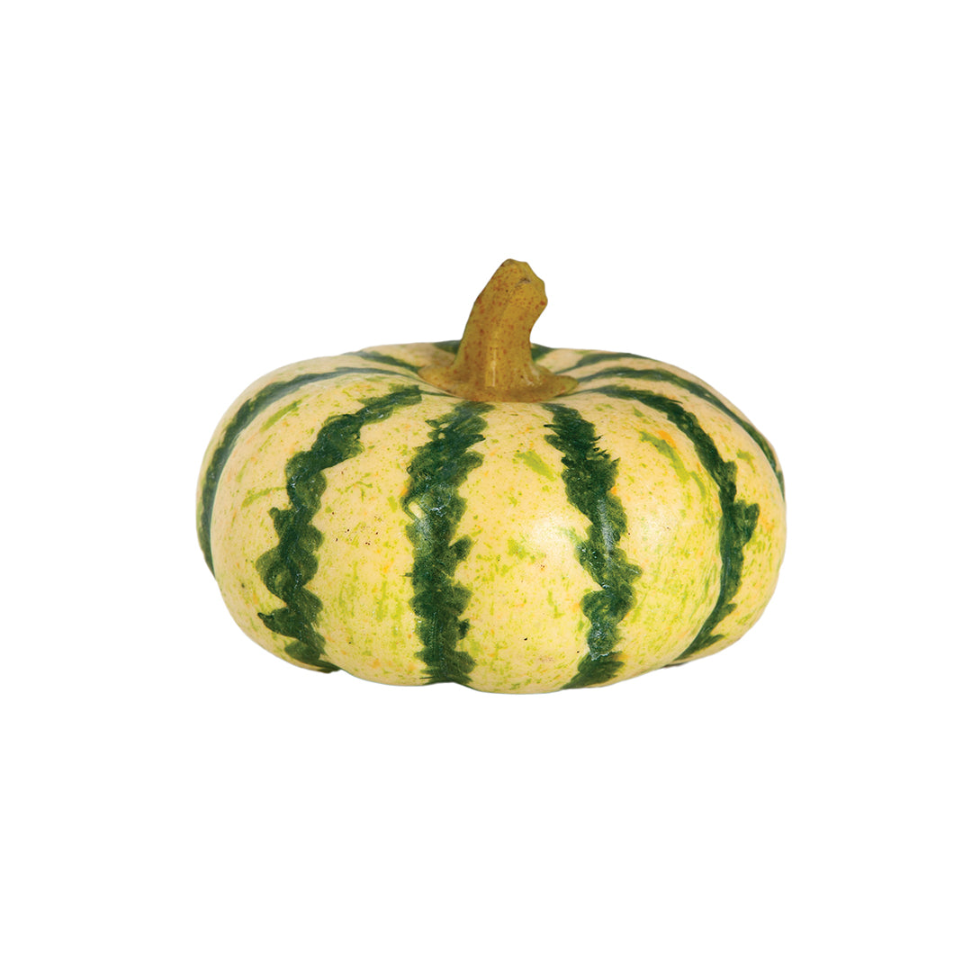 Calabaza Decorativa Para Embellecer Tu Hogar 0,018 M / Multicolor_0