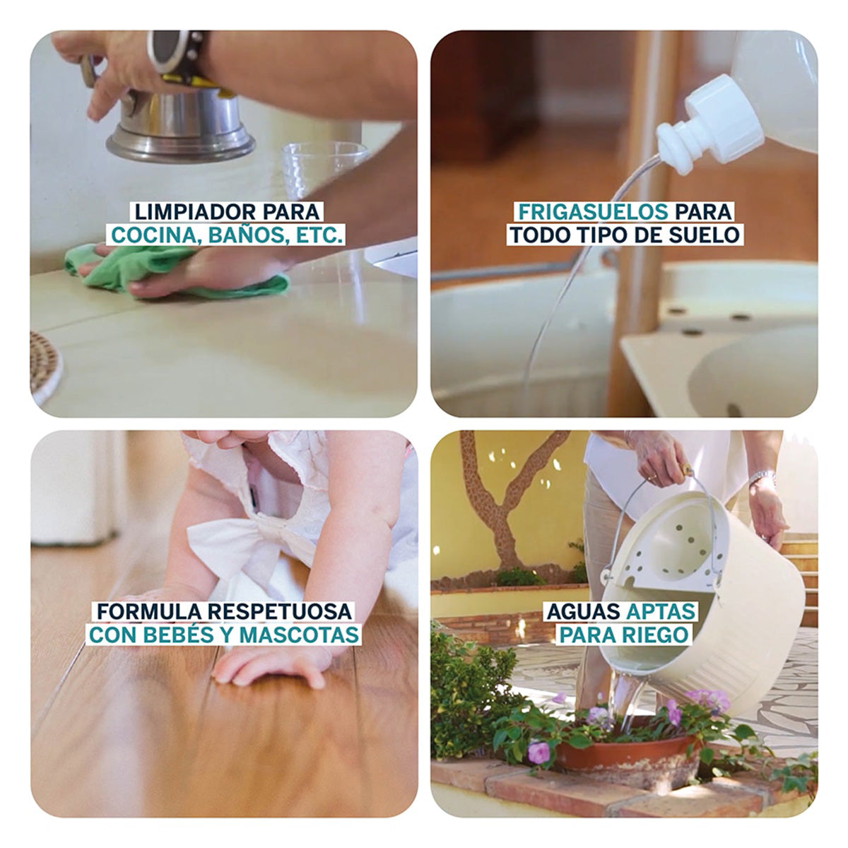 Limpiahogar concentrado ECO Biobel 20 L