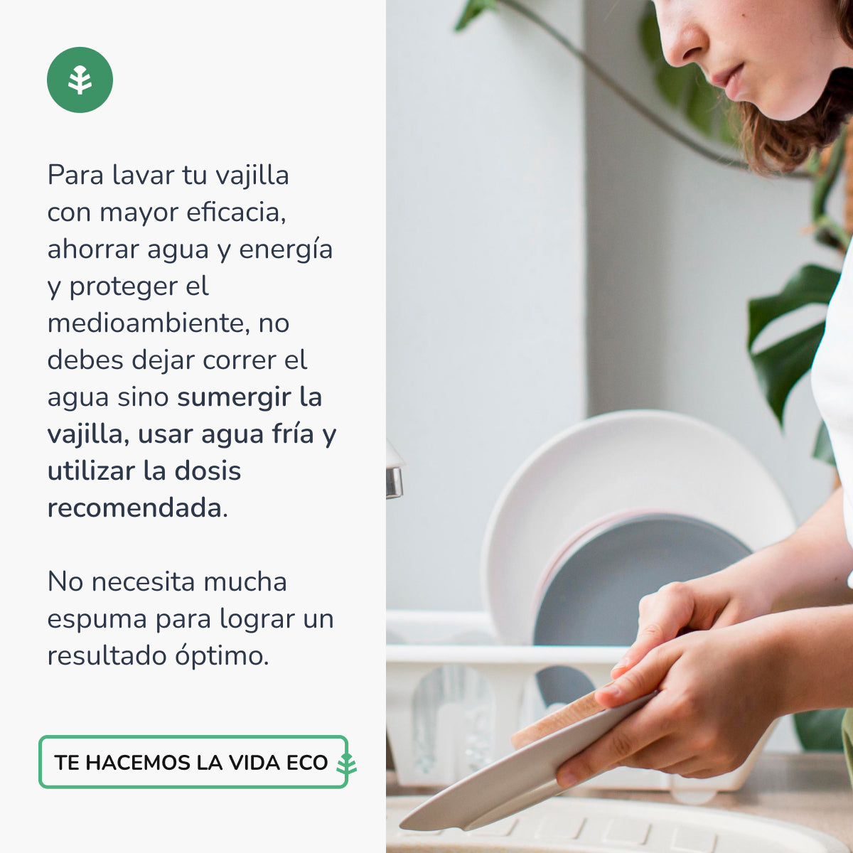Pack 3xLavavajillas Manual Té Verde ECO Planeta Huerto 750ml