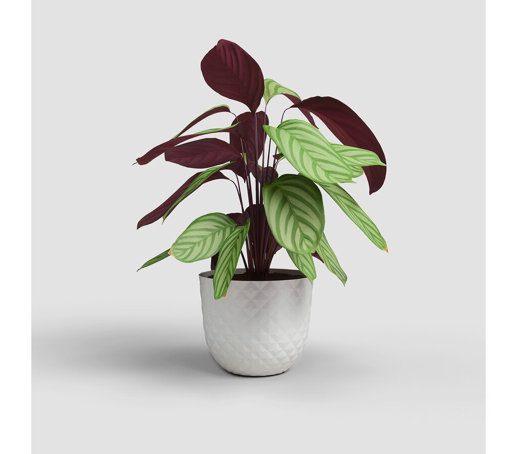 Artevasi Macetero Havana Tropical Blanco De Plástico Reciclado 50cm_1