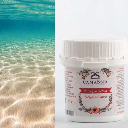 Colágeno marino Camassia 10 g
