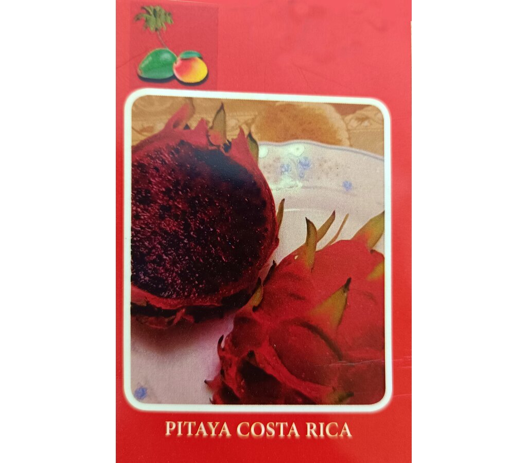 Pitaya Roja M17 150-175cm (fruta Del Dragón)