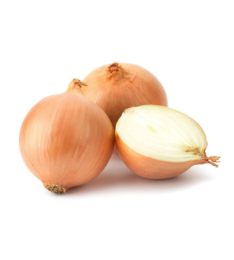 Cebolla Seca De Conil. 1 KG