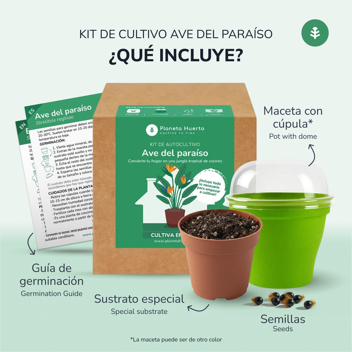 Kit de autocultivo Ave del paraíso Planeta Huerto