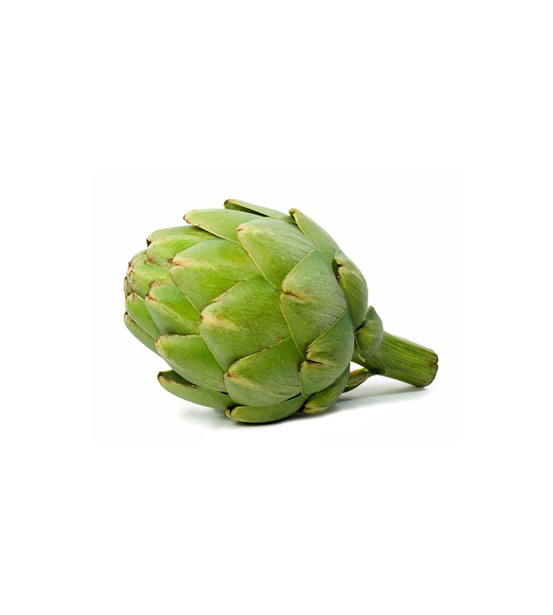 Alcachofa De Conil. 1 KG_0