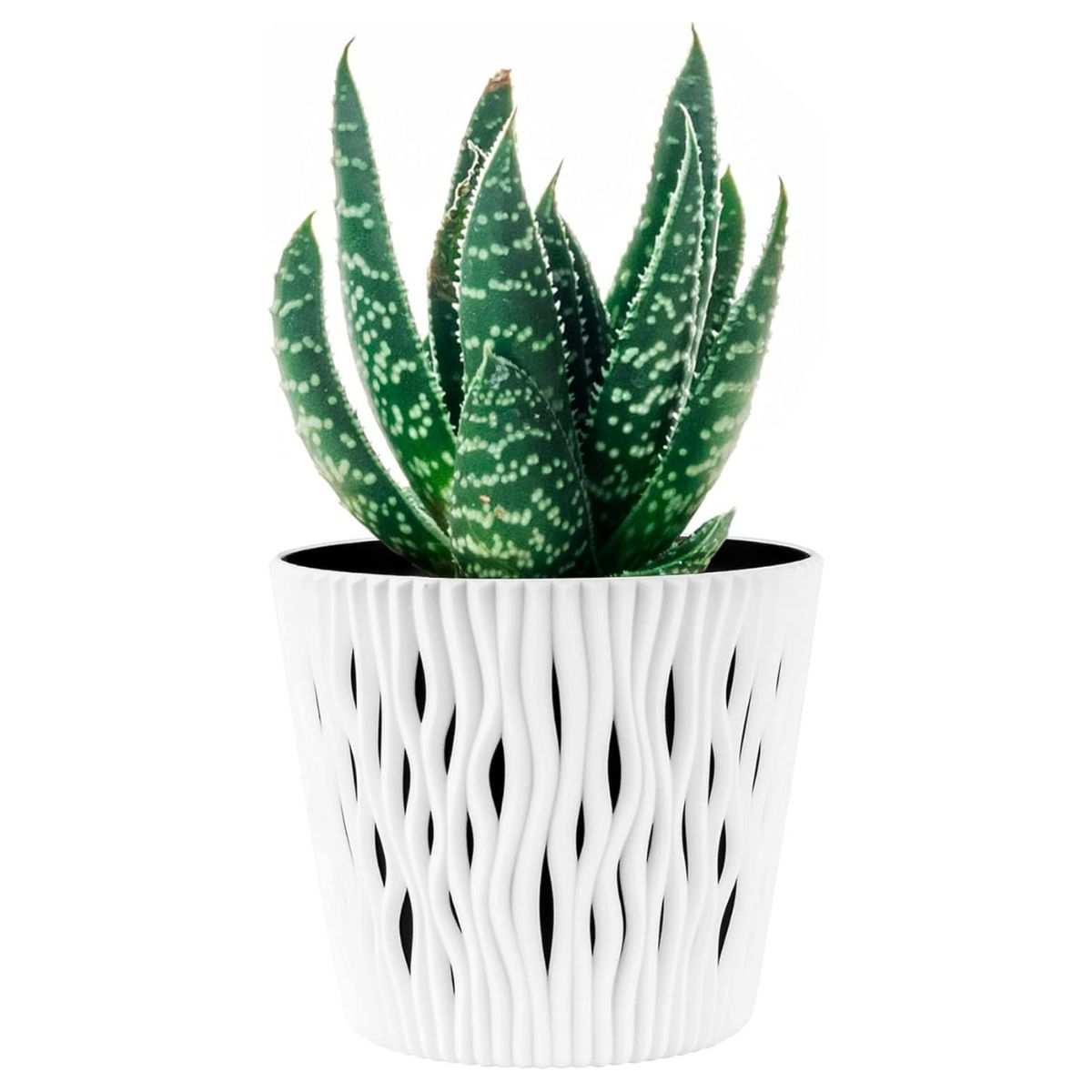 Maceta Duna con inserto blanco D 16 x 14