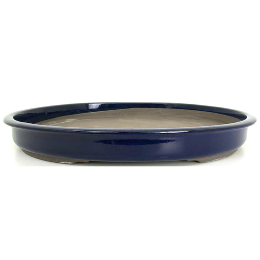 Tiesto Bonsai Oval Azul 48x5cm