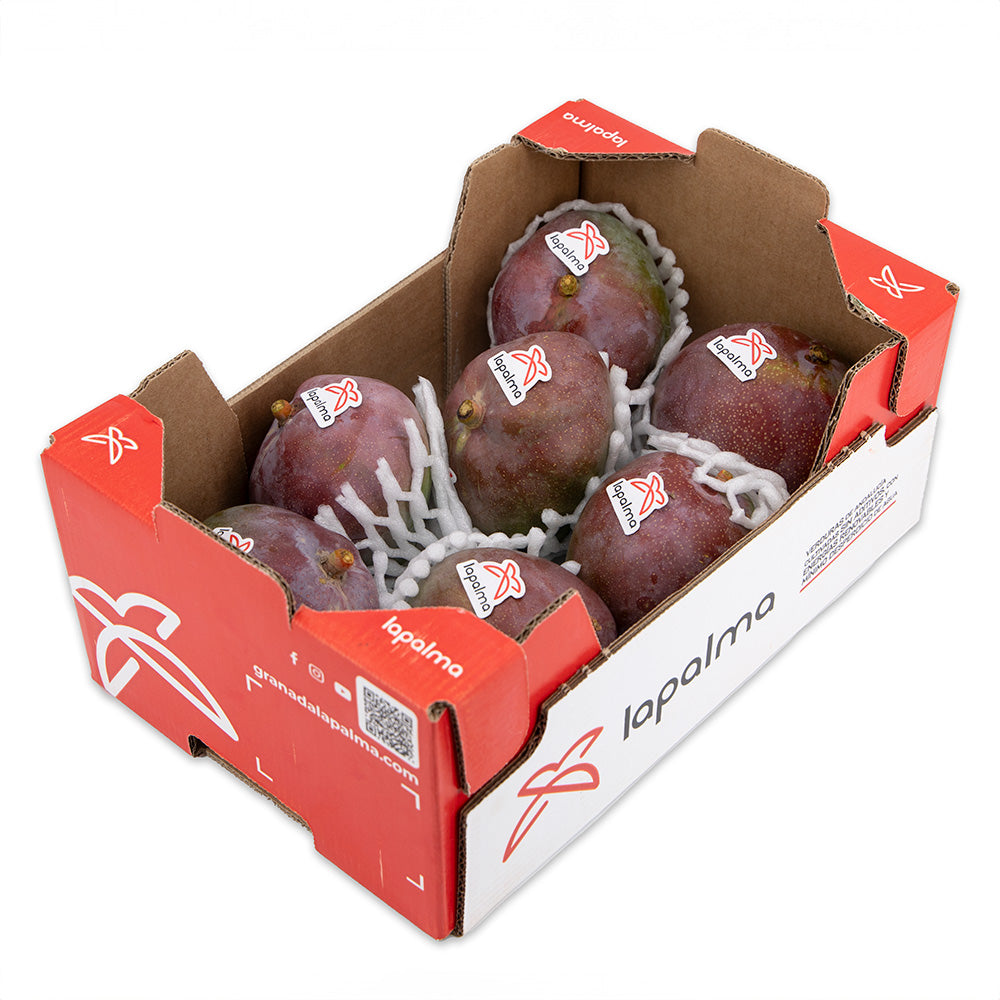 Mango Kent 2kg_5
