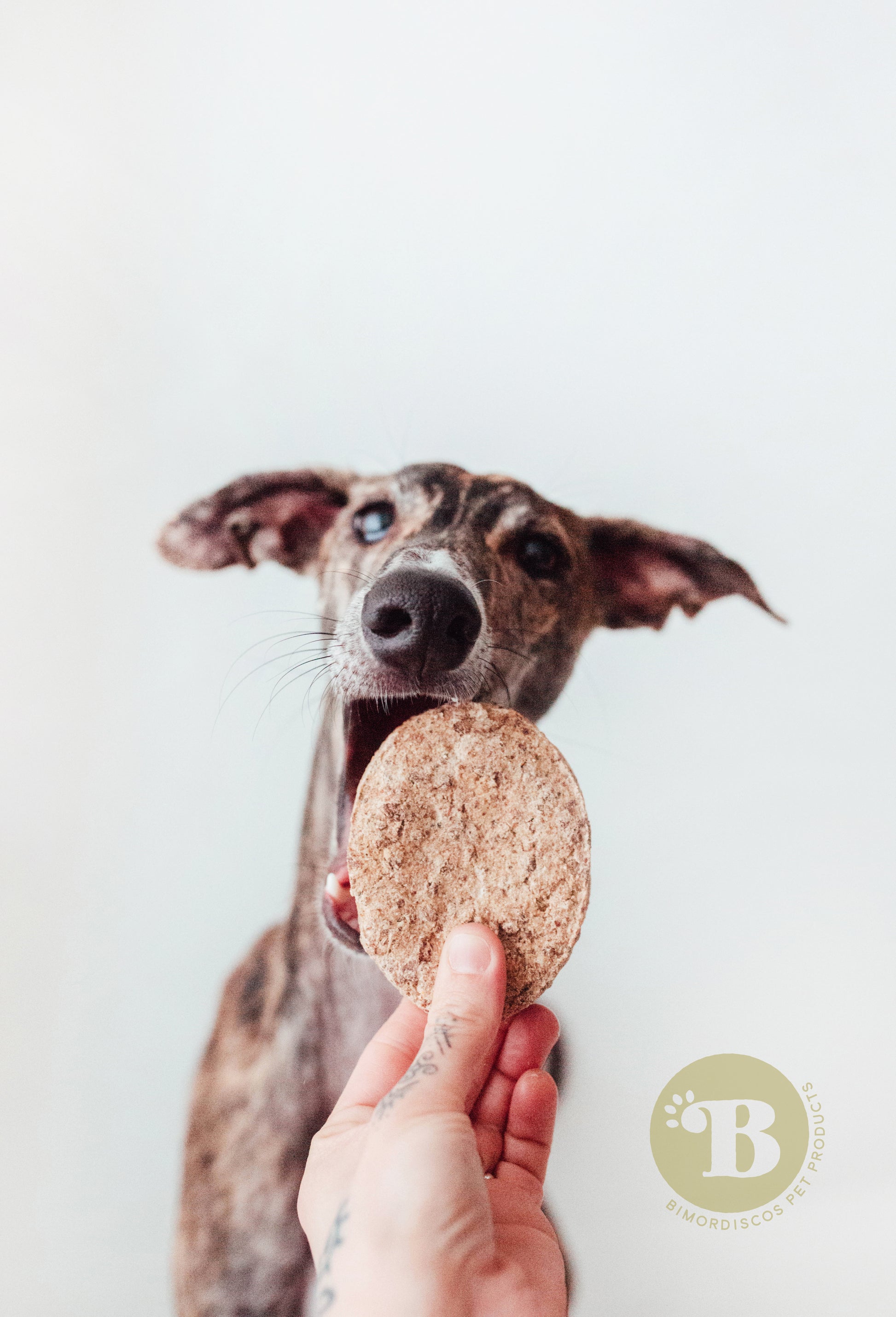 Bimordiscos Hamburguesas De Tripa Verde De Vaca Para Perros · 10 Uds..