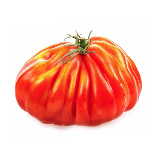 Plantón De Tomate Corazón De Buey 6 Uds. Gama Tradicional