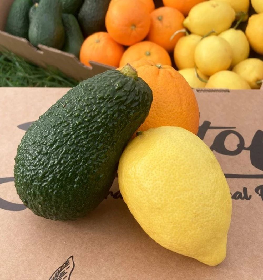 Mix Mandarinas, Limones Y Aguacates Hass De Temporada Tropitop 5kg_4