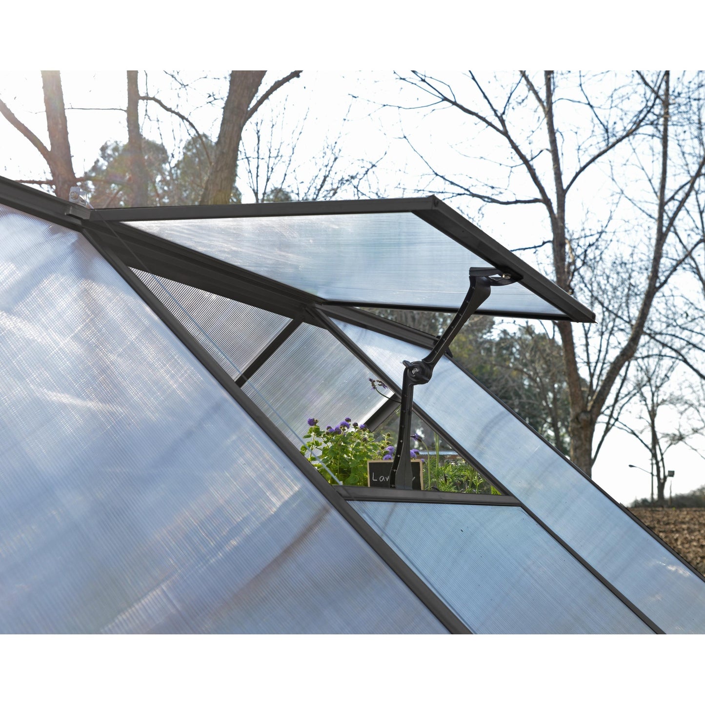 Invernadero Balance247x244 cm