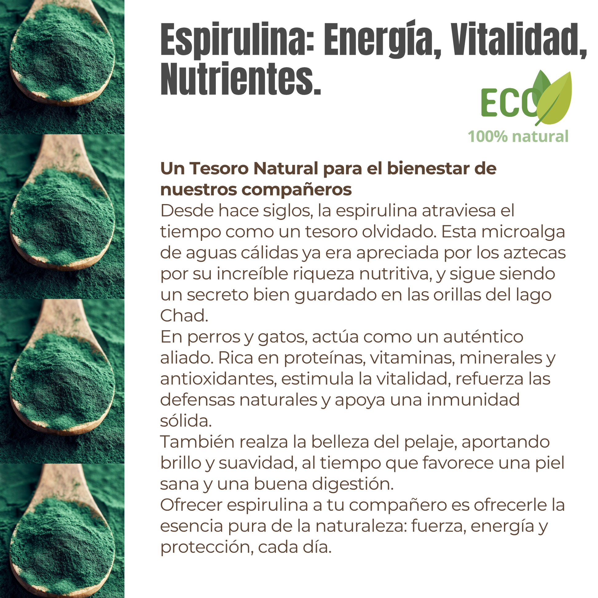 Suplemento natural para perros y gatos – Espirulina ECO Vitalidad & Defensas 100 g