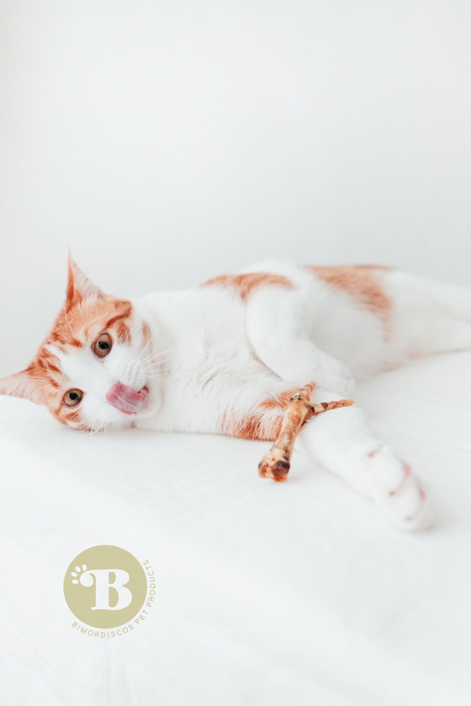 Bimordiscos Patas De Pollo Para Perros Y Gatos · 100g.