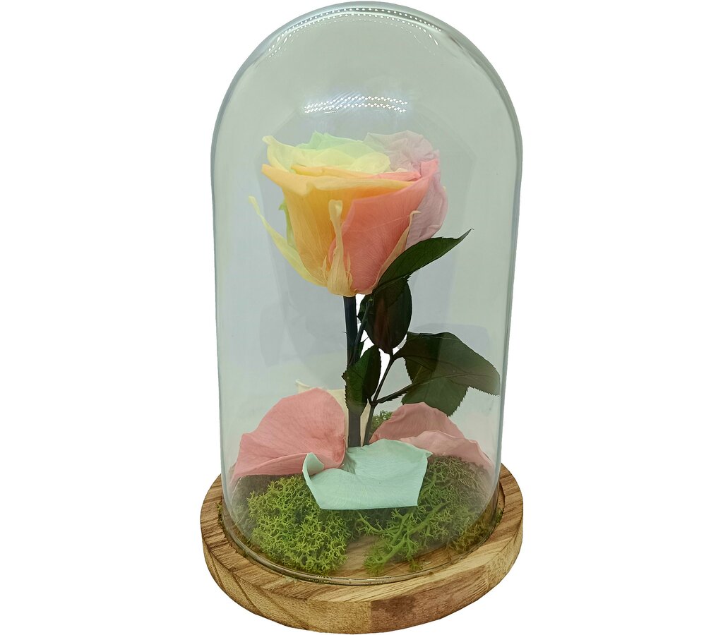 Mundo Eterno Rosa En Cúpula Multicolor Pastel 12x20cm