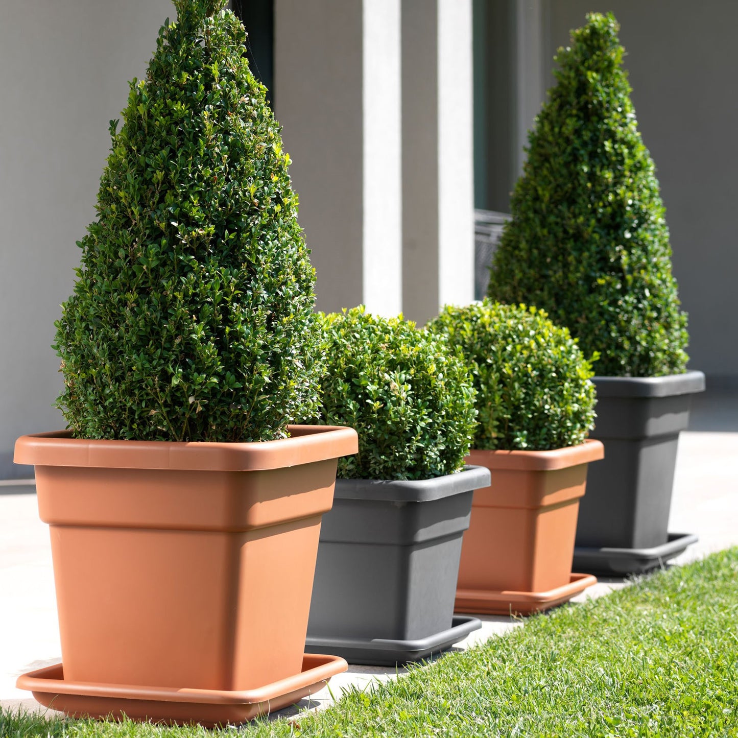 Maceta Maxi 38 Cm Antracita_3