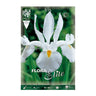 Bulbos Iris Holanda blanco 10 uds