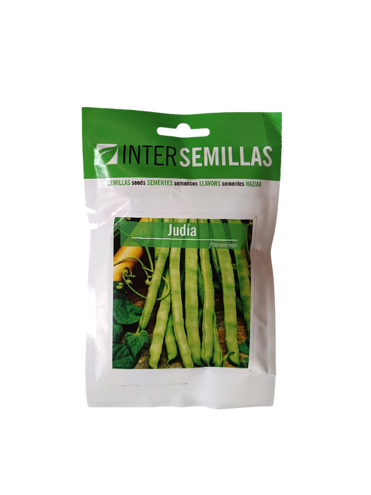 Semillas De Judia Variedad Phenomeen 100 Gr.