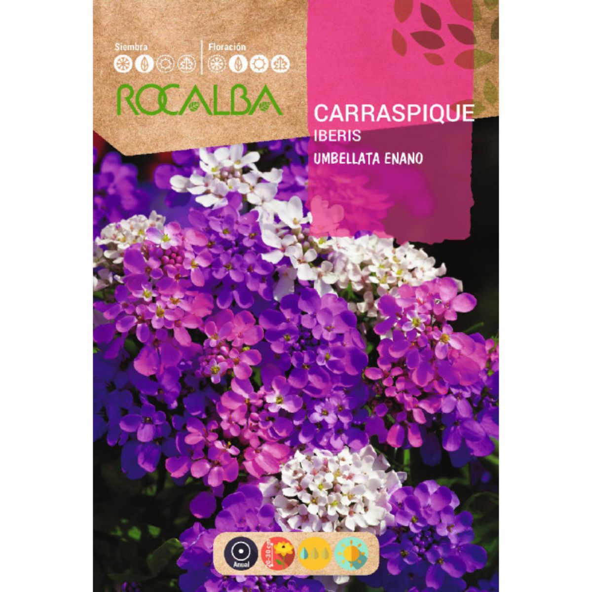 Semillas de Carraspique umbellata enano, variado