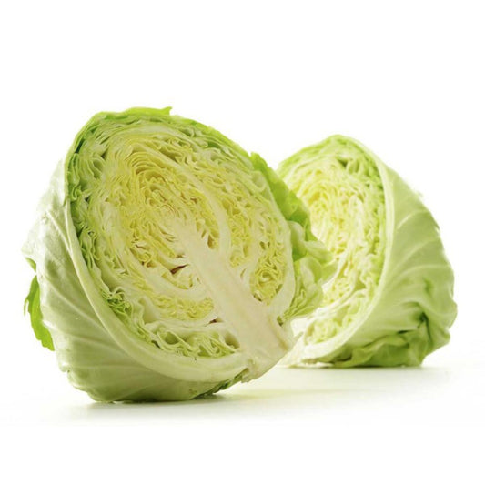 Plantón de Col repollo en maceta 11 cm