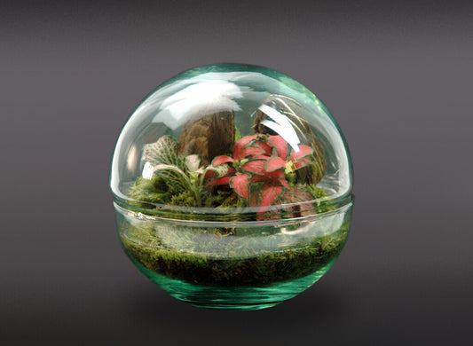 Nanogarden Terrario Ball Fitt 12x12cm