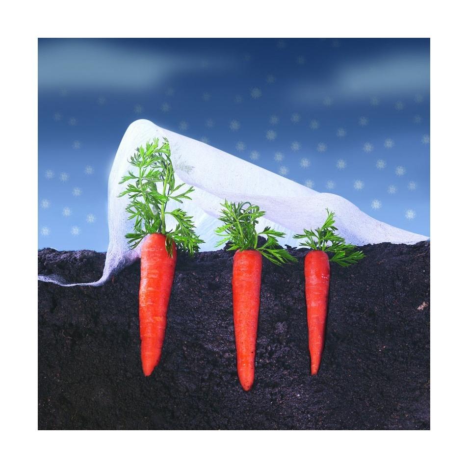 Velo de crecimiento Climatex Nortene 2 x 10 m