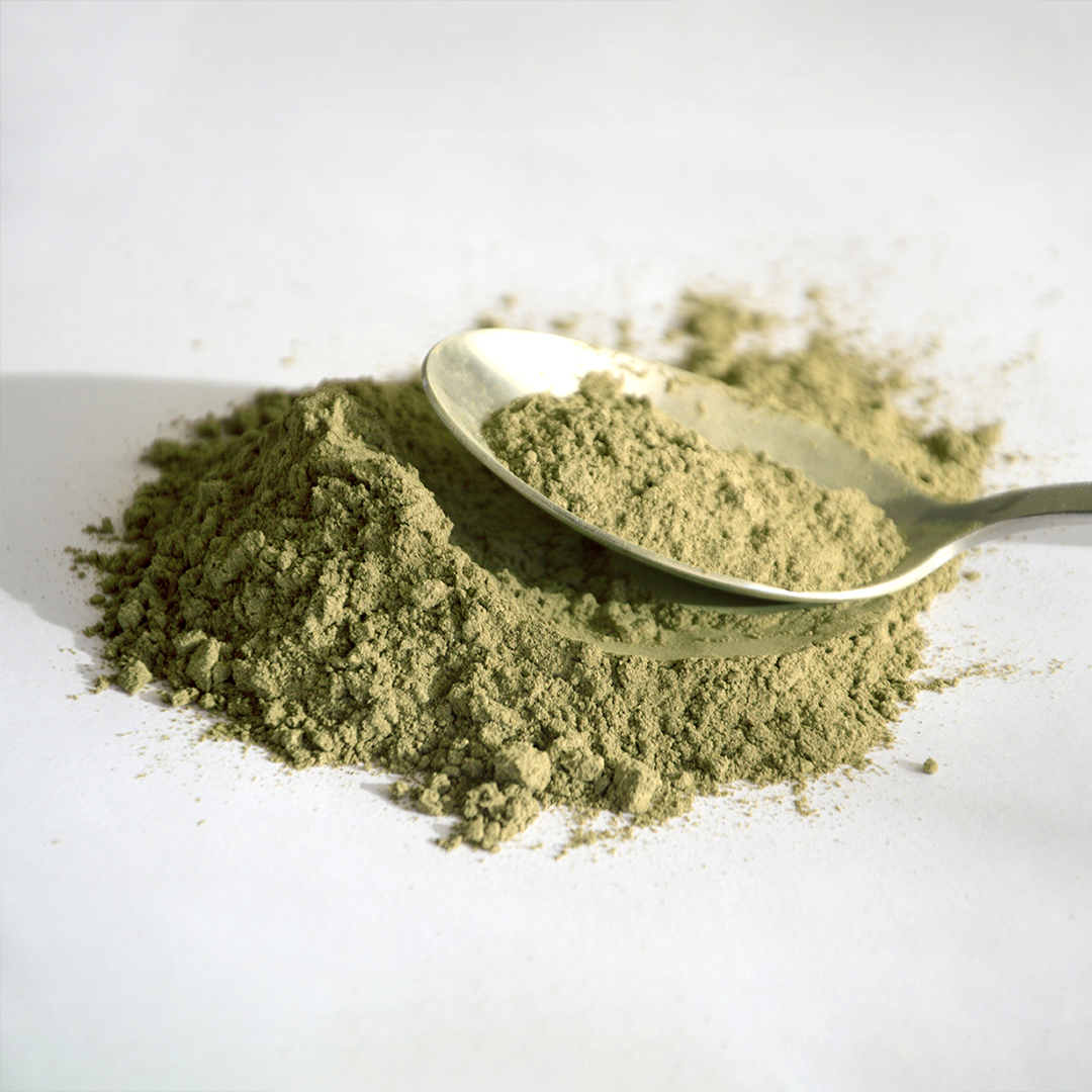 Salicornia En Polvo – Sustituto Vegetal De La Sal (50g, Doypack)