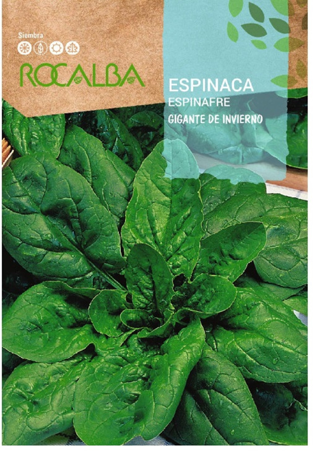 Semillas Espinaca Gigante De Invierno 1k