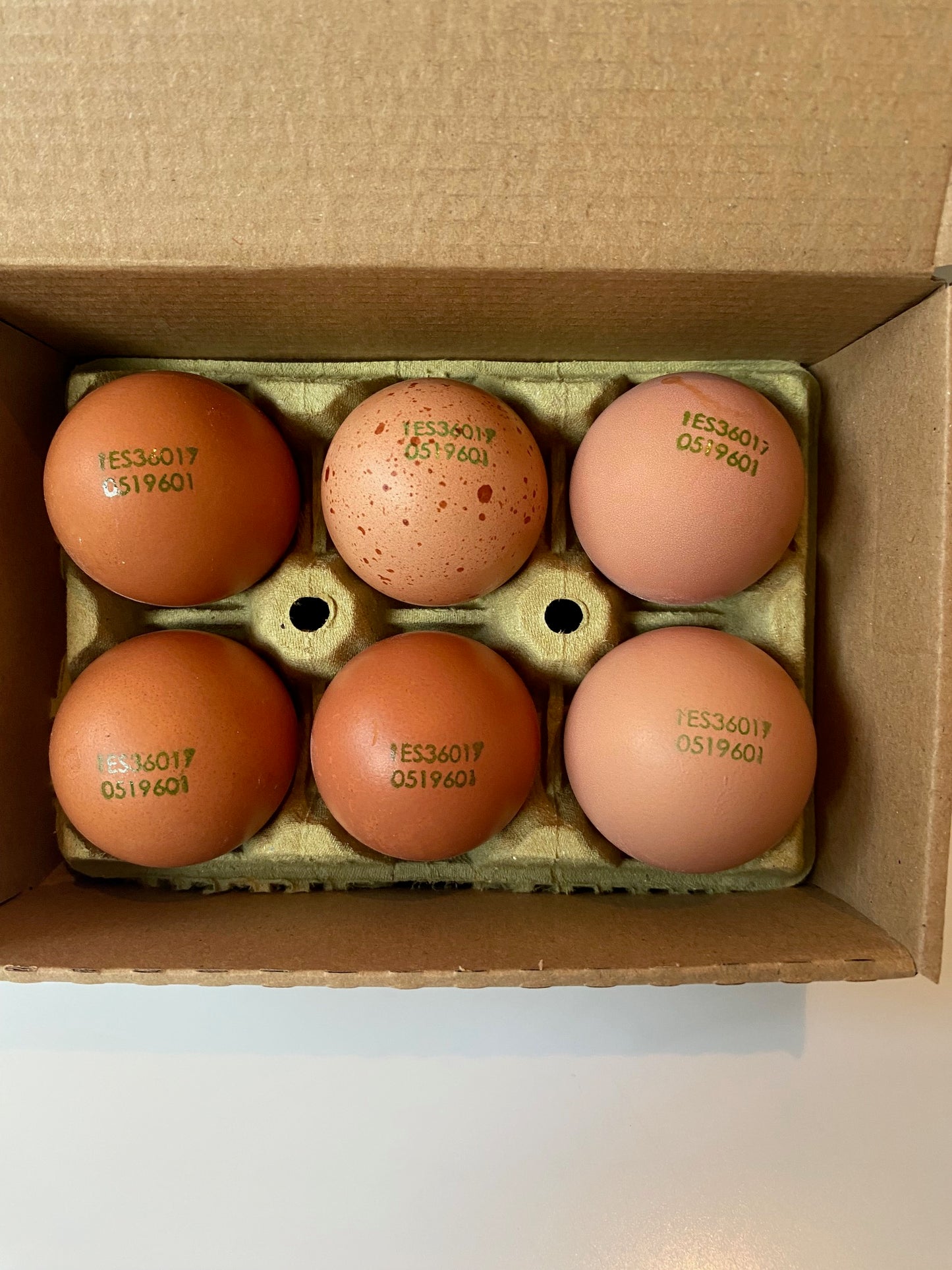Pack 16 Estuches De 1/2 Docena De Huevos De Gallinas Criadas Al Aire Libre_0