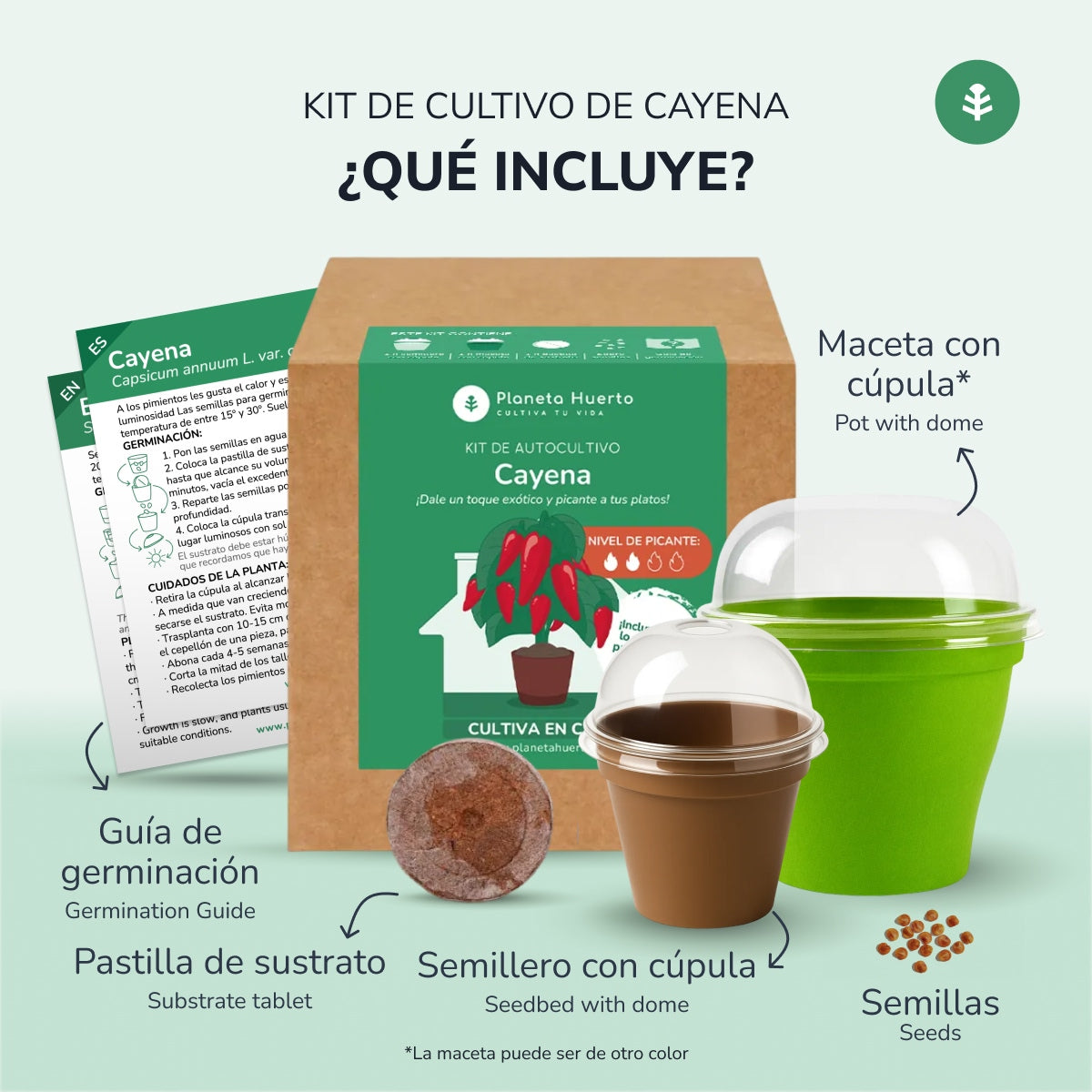 Kit de autocultivo Cayena Planeta Huerto