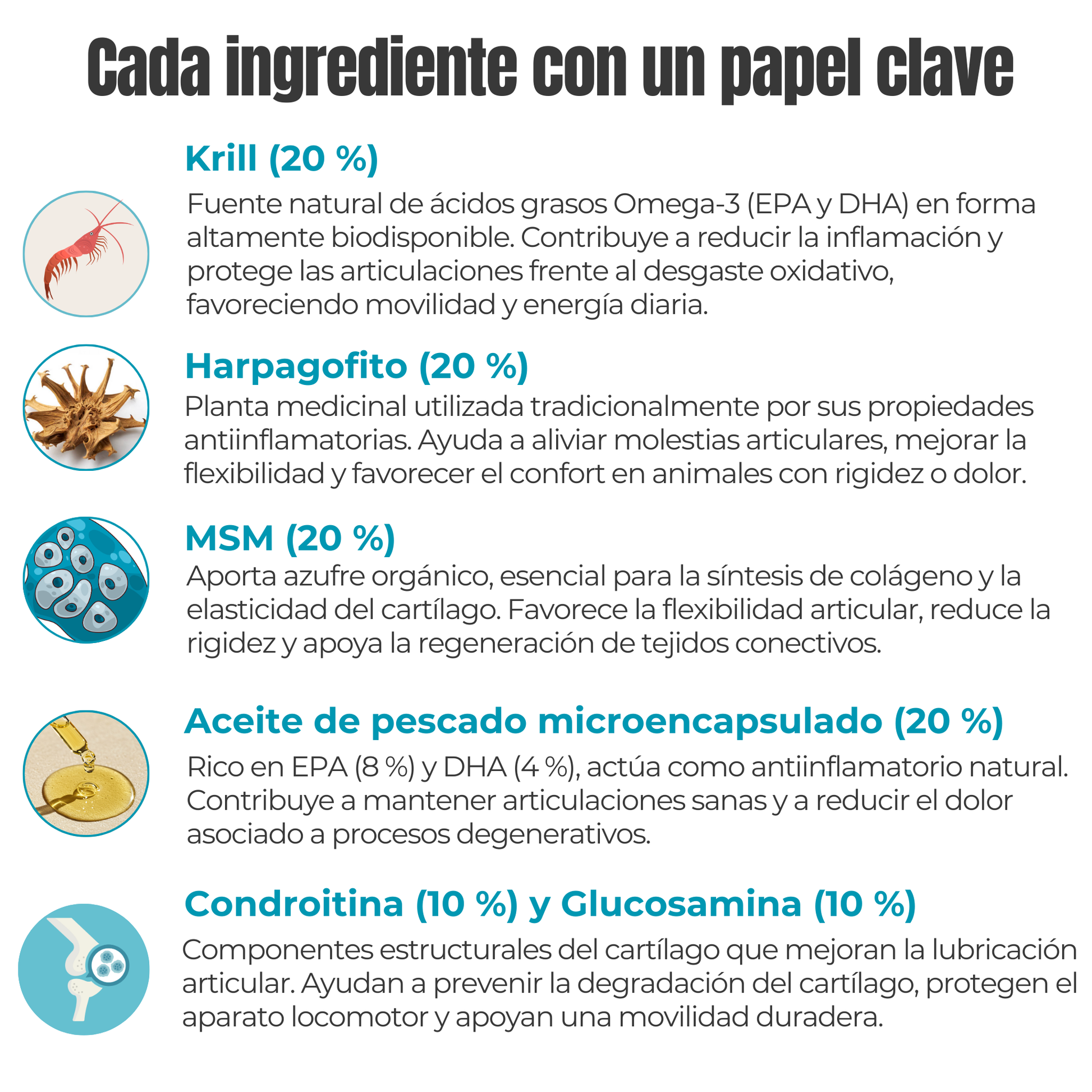 Suplemento natural para perros y gatos – Condroprotector Movilidad & Articulaciones ECO 100 g