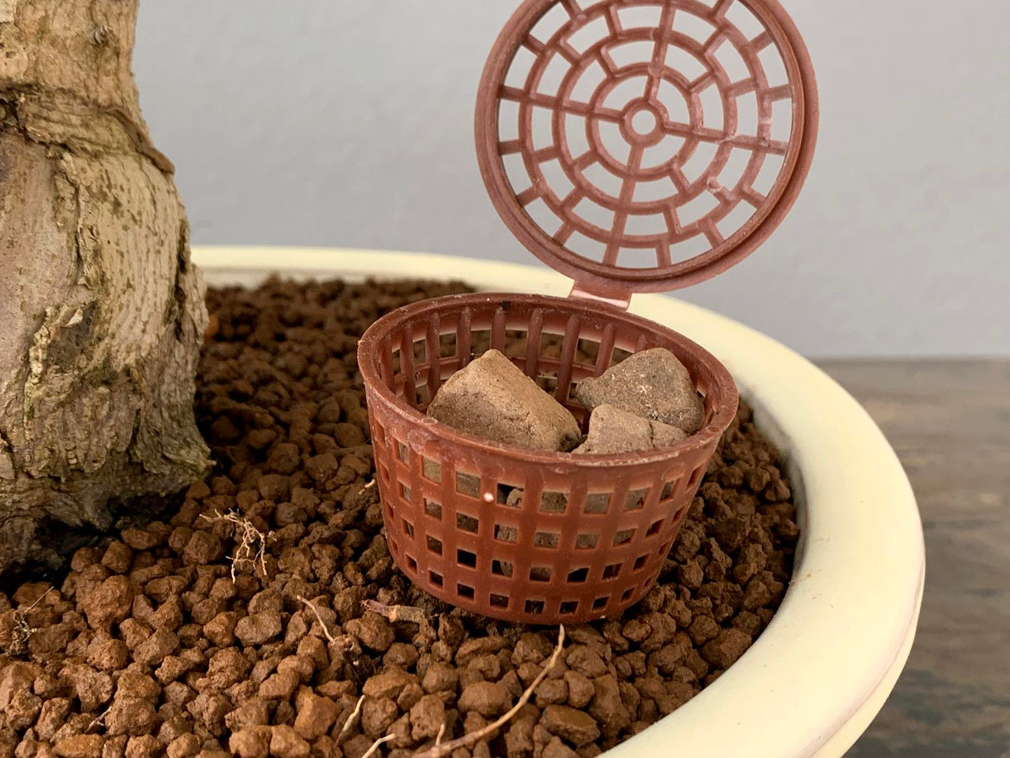 Abono Japonés Especial Para Bonsái Biogold - 900g_5