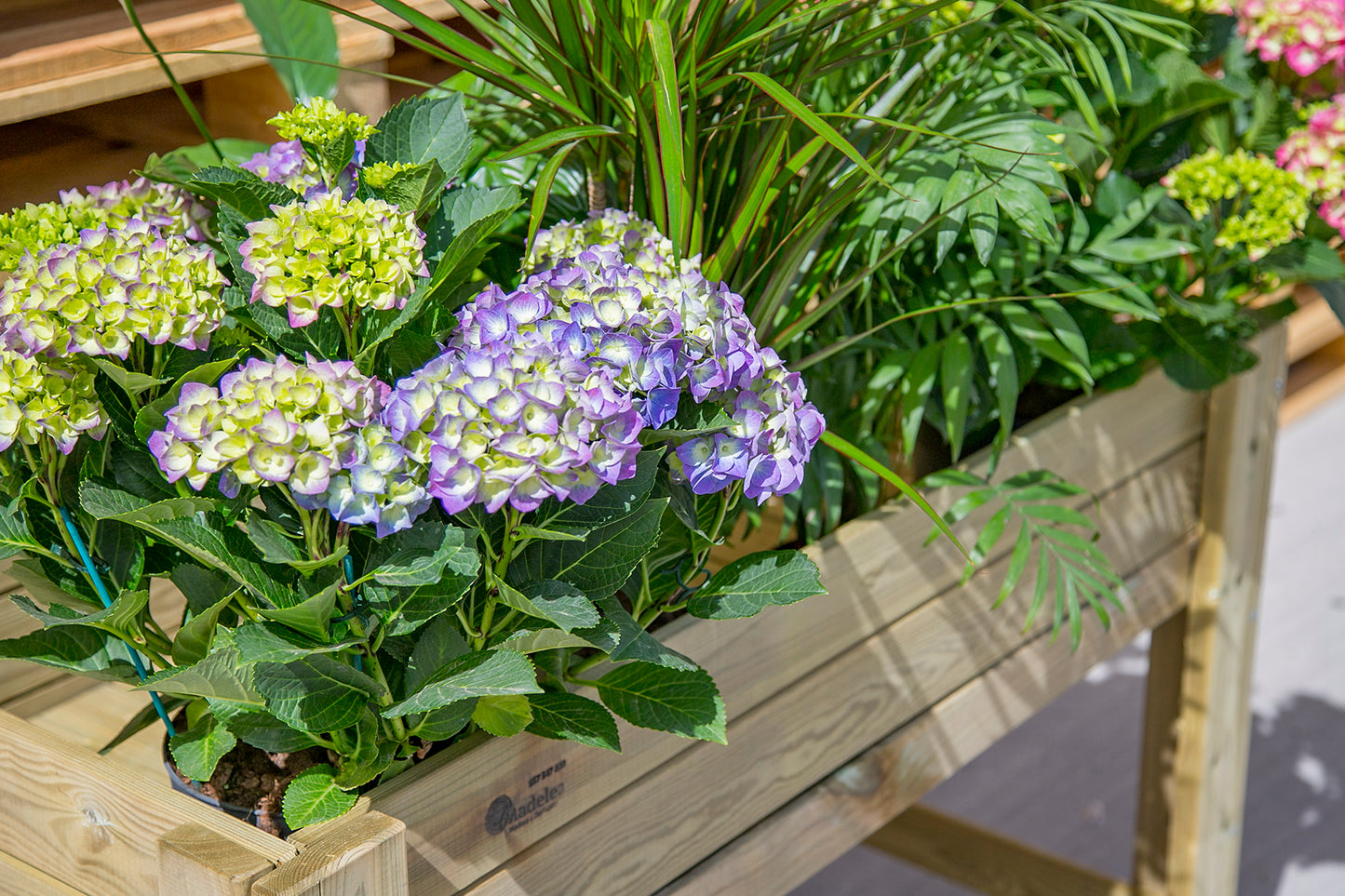 Mesa De Cultivo De Madera 99x39x80 Cm 50l Toscares Autoclave - Madelea_5