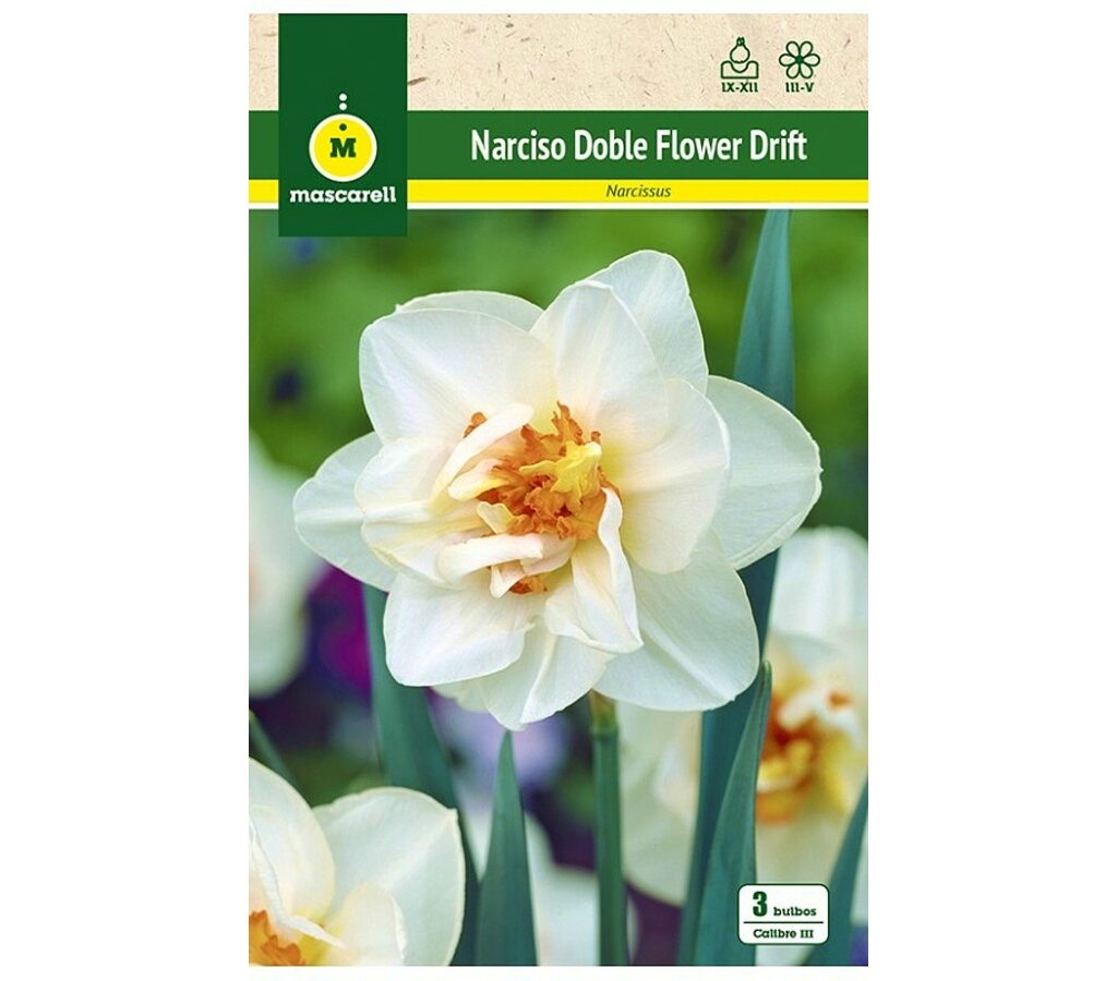 Bulbo Narciso Doble Flower Drift Blanca