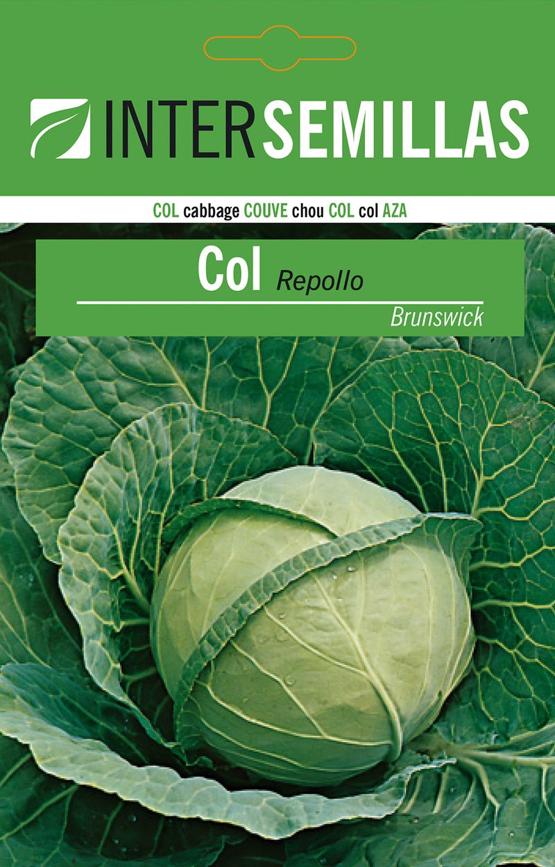 Sobre De Semillas Col Repollo Brunswick