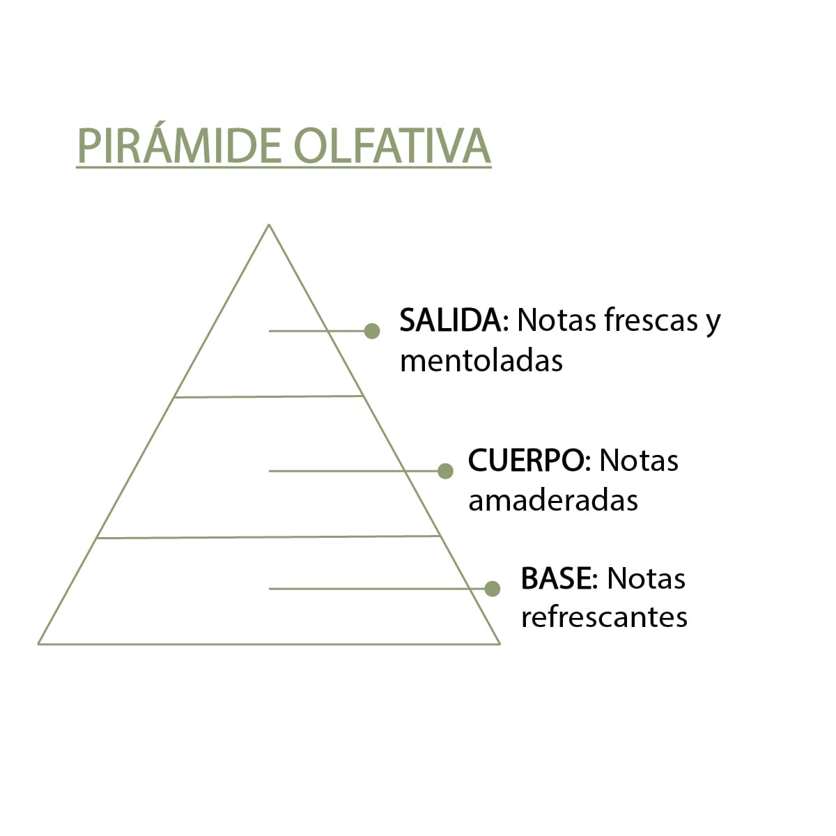 Esencia Natural Eucalipto SYS Aromas 12 ml | Aroma Herbal y Balsámico | Para Quemadores y Humidificadores_3