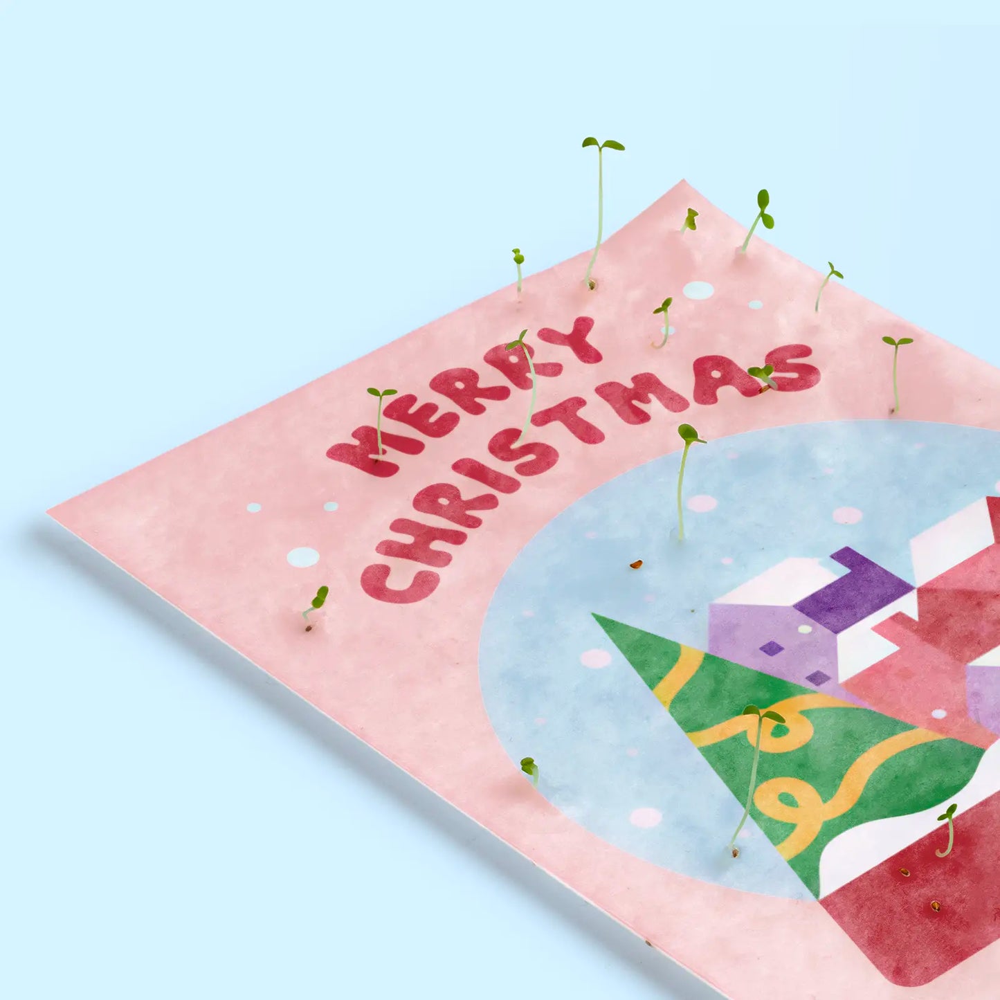 Postales Plantables Navidad Pack 5 Diseños – Snow Globe, Ho Ho Ho, Happy New Year, Snow Angels Y Elf - Resetea_5