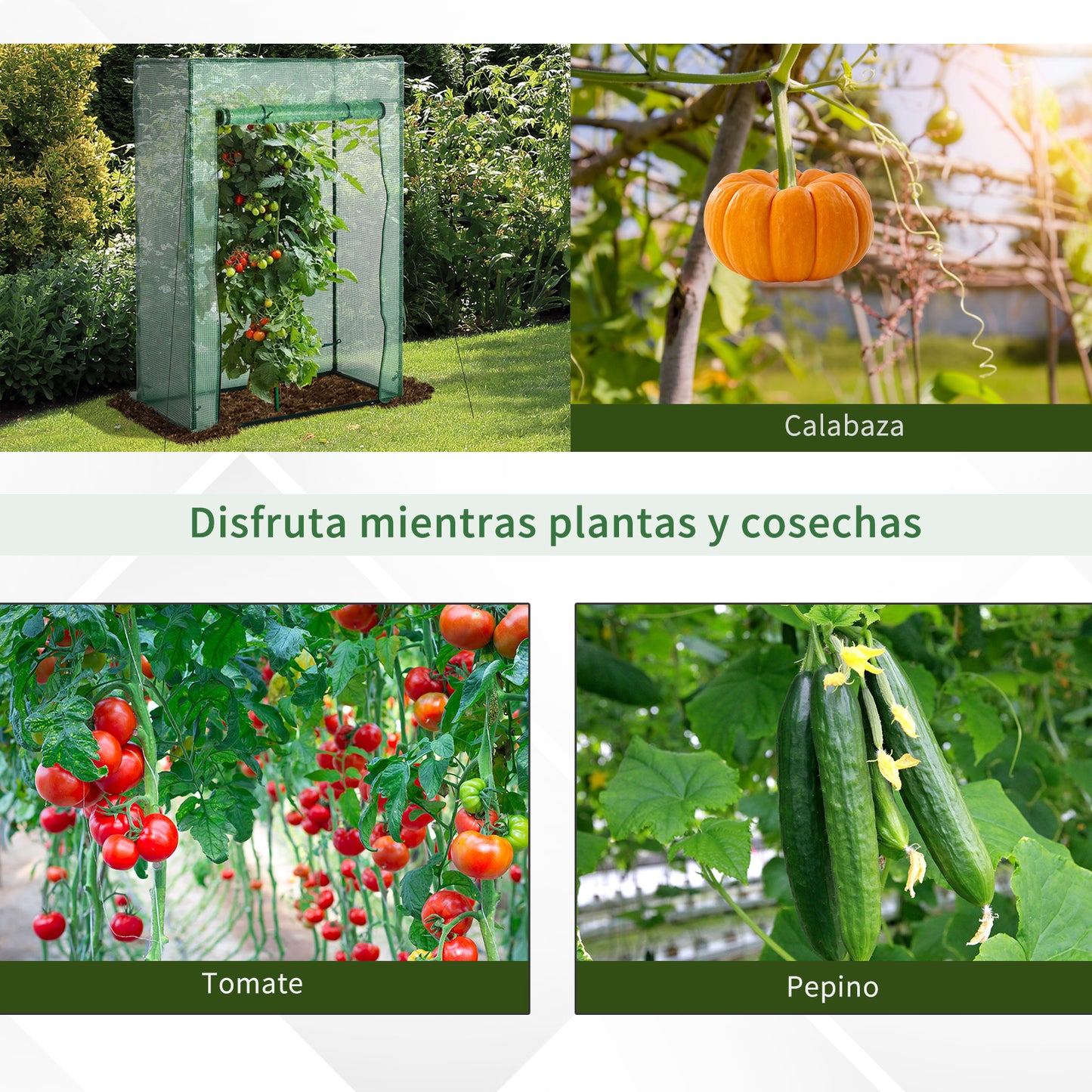 Outsunny Invernadero Con Puerta Enrollable De Acero Y Pe 100x50x150 Cm Verde_5