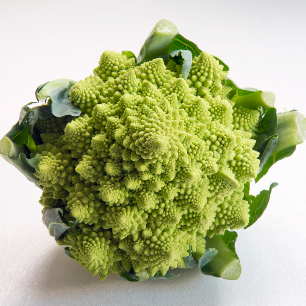 Plantón Coliflor Romanesco - Plantabo.