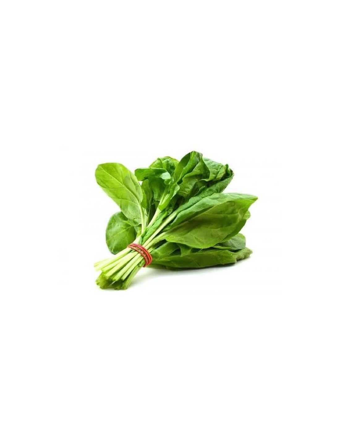 Espinacas De La Rioja Bio - Manojo