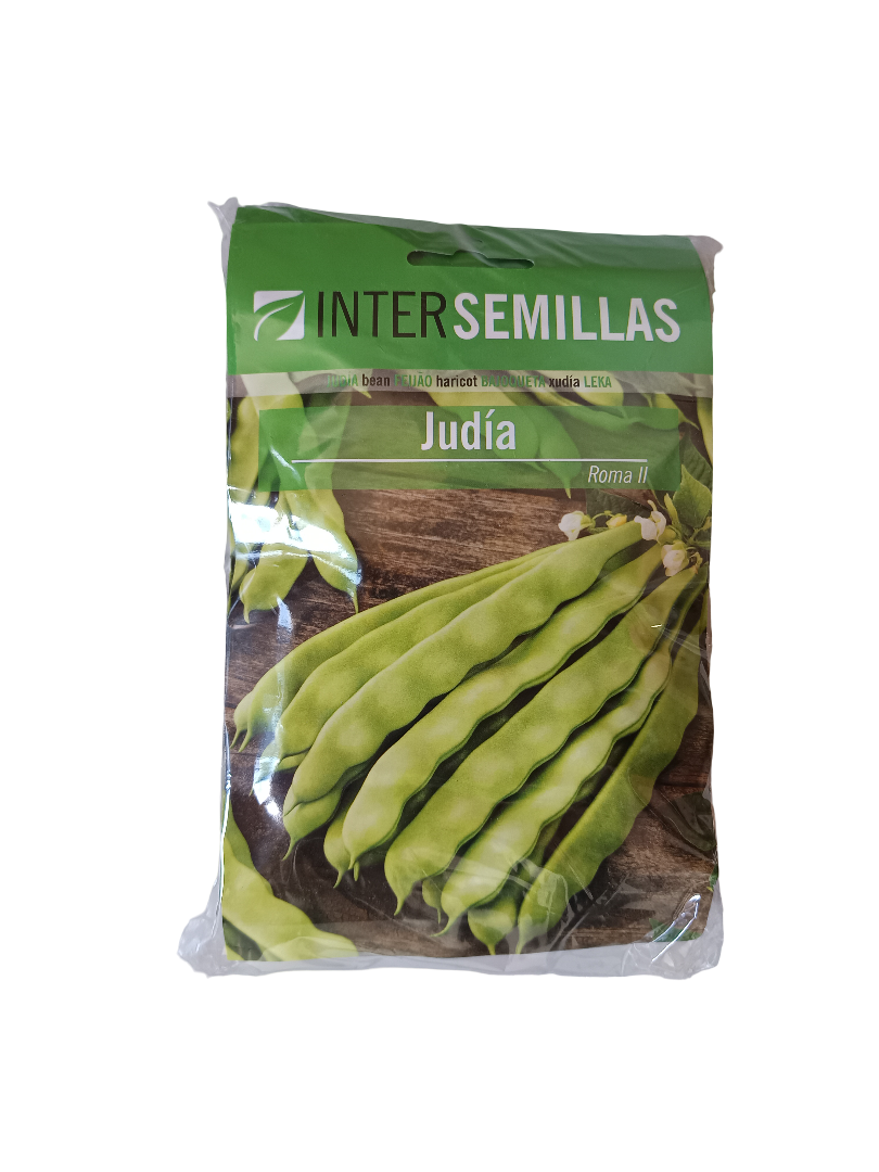 Semillas De Judia Roma Ii
