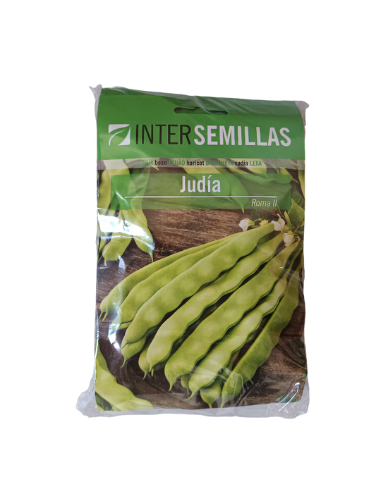 Semillas De Judia Roma Ii