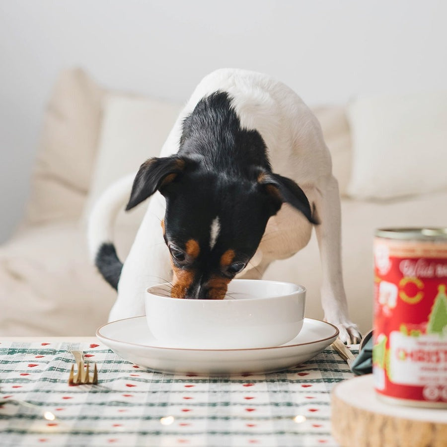 Lata Receta de Navidad BARF ciervo y conejo para perros Wild Balance 400 g