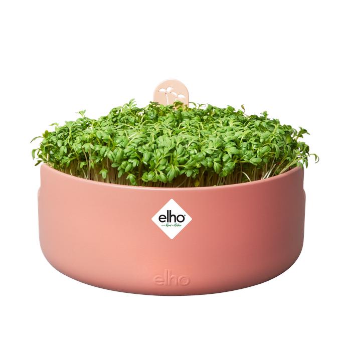 Germinador Magic Microgreens Elho Terra