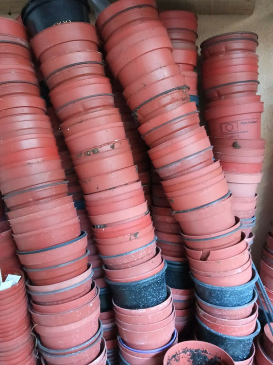 Lote 10 Macetas 8'5 Cms Usadas Plastico Plantas