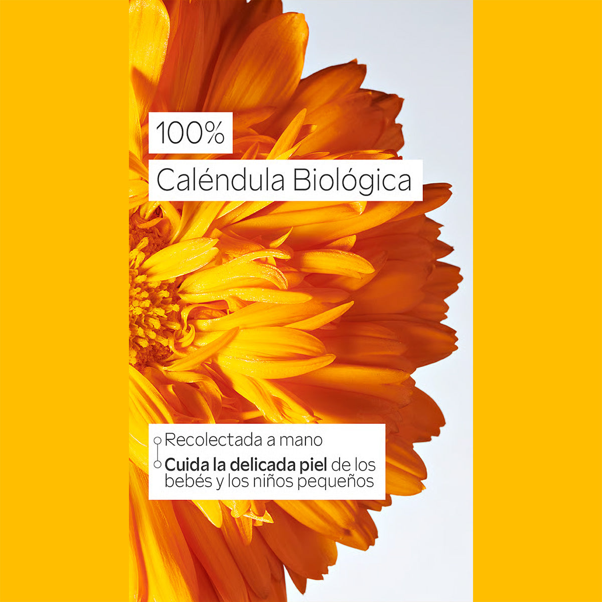 Aceite para la Tripita del Bebé Weleda, 50ml