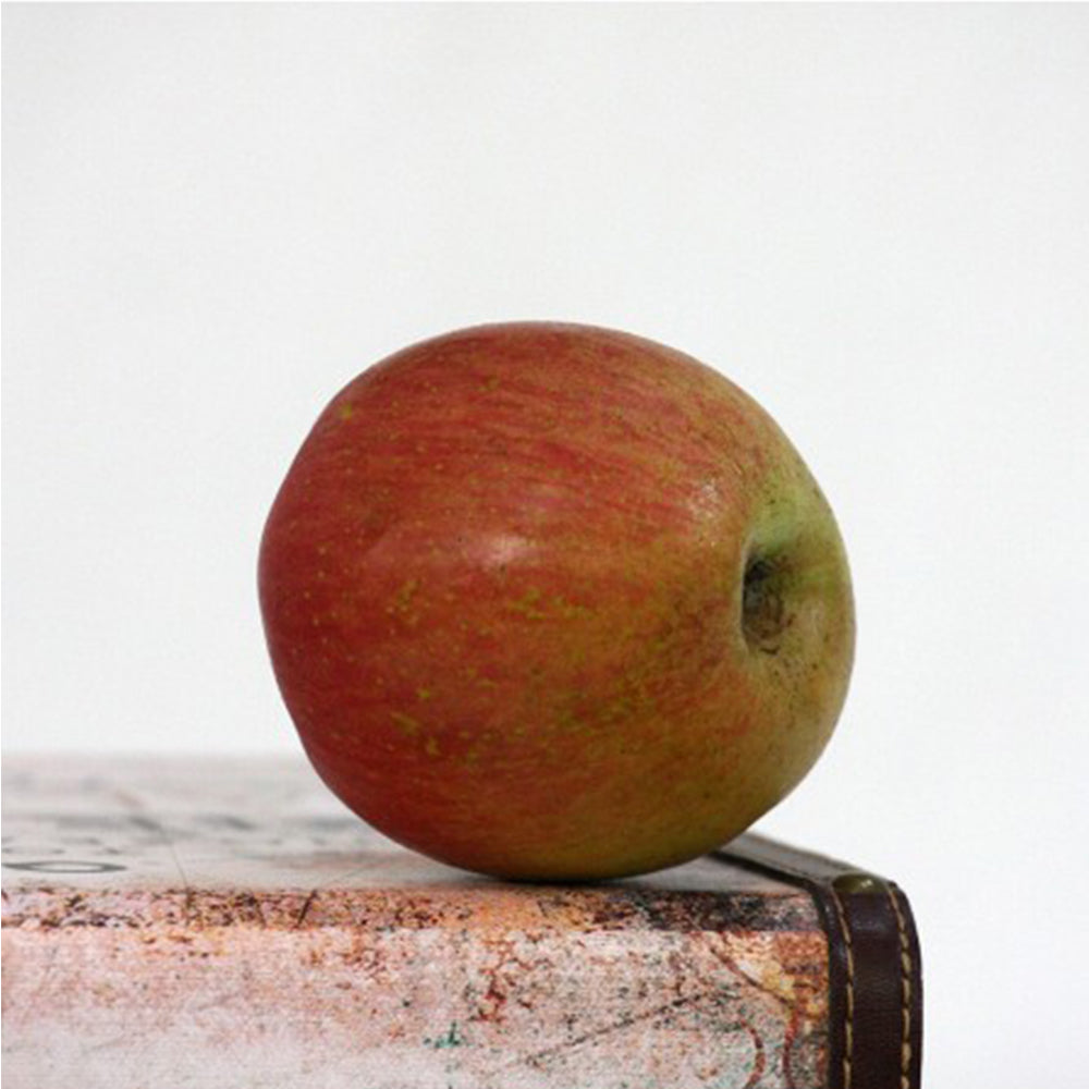 Manzana Fuji Del Bierzo. Caja 10 Kg