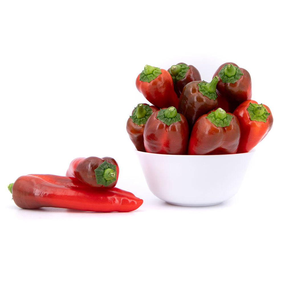 Pimiento Minikapya Weko_5