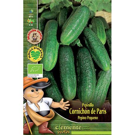 Semillas de Pepinillo Cornichon Clemente