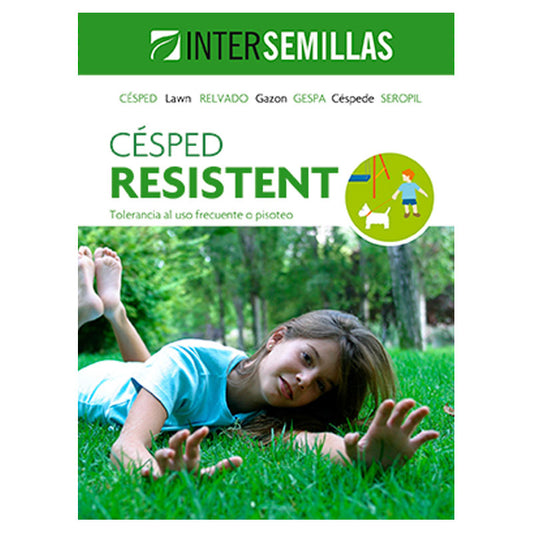 Semillas De Cesped Resistent Caja De 1 Kg.